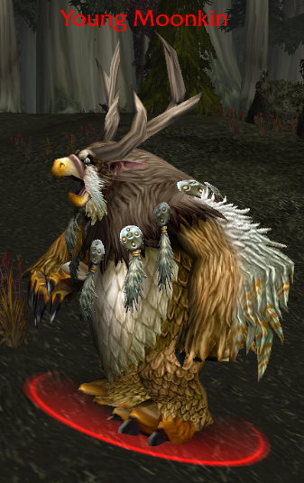 Young Moonkin